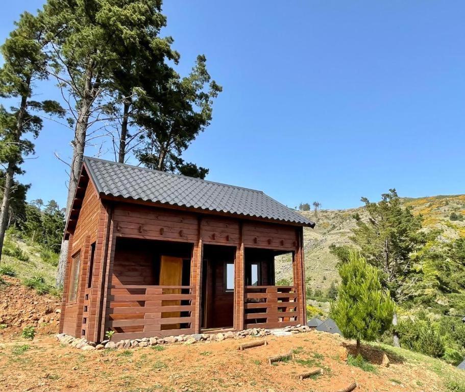 Tente de luxe Mountain Eco Shelter 5 *